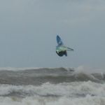 DSC00059.jpg