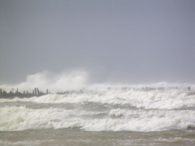 P1010003.JPG