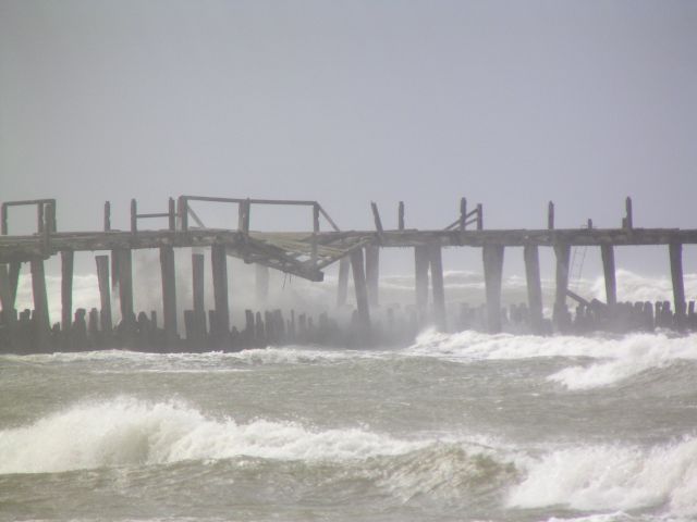 P1010005.JPG