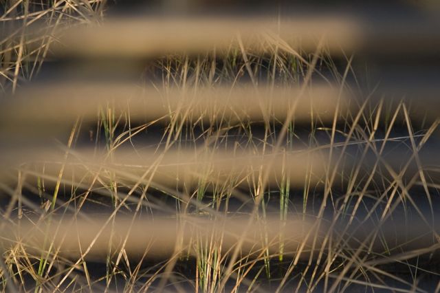 CRW_04