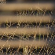 CRW_04