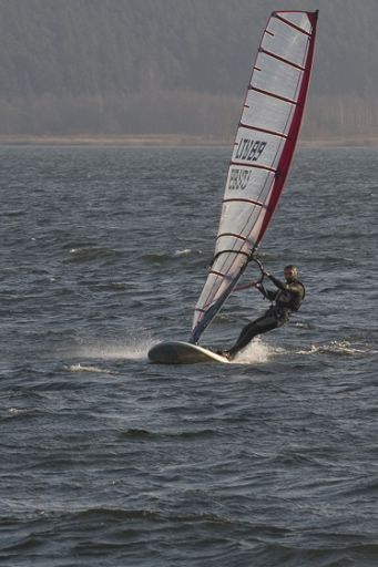 CRW_37