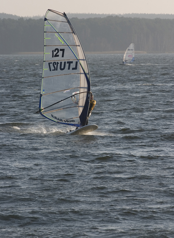 CRW_43