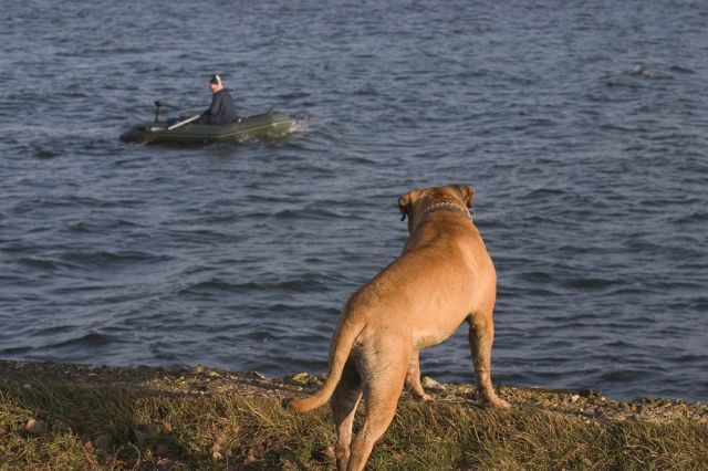 CRW_47